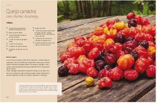 198
Piquenique
Queijo canastra
com chutney de pitanga
•	 1/2 quilo de queijo canastra
cortado em cubos de 3 cm
•	 Palitos o quanto baste
•	 1 quilo de pitangas maduras
sem as sementes
•	 1 colher de sopa de gengibre
ralado
•	 1 colher de chá de sal
•	 2 colheres de sopa de açúcar
•	 3 colheres de sopa de suco de
limão
•	 Raspas de limão
•	 1 colher de sopa de especiarias
em grão: cominho, coentro,
pimenta-do-reino, cardamomo e
cravos-da-índia
•	 1 colherinha de chá de noz-
moscada e canela em pó
•	 2 pimentas-dedo-de-moça: uma
verde e a outra vermelha
Modo de preparo
Leve ao fogo uma panela funda. Deixe esquentar e coloque todas as
especiarias, mas com cuidado para não queimar. Assim que os aromas
subirem coloque as pitangas maduras. Em seguida, o gengibre, o sal, o
açúcar e as pimentas-dedo-de-moça picadas bem fininho. Deixe apurar
até dar o ponto.
Para a montagem deste petisco faça assim: coloque em um bowl o chu-
tney e em um prato os cubos de queijo canastra e deixe as pessoas se
servirem espetando o queijo com o palito e passando-o na pitanga.
10 fatias
A pitanga, embora seja uma nativa da Mata Atlântica, assim como a jabutica-
ba, são duas espécies ligadas à rede de produtos sustentável que se tornaram
exemplos de como espécies podem ser salvas da extinção mediante a utiliza-
ção de seus frutos. A mesma coisa vem acontecendo com as frutas da Região
Norte, tais como o açaí e o cupuaçu.
 