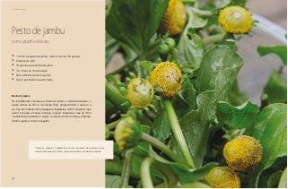 74
Delícias toda hora
Pesto de jambu
com castanha-de-baru
•	 1 molho pequeno de jambu, mais ou menos 100 gramas
•	 2 dentes de alho
•	 70 gramas de castanha-de-baru
•	 1/2 xícara de chá de azeite
•	 Sal e pimenta-do-reino a gosto
•	 Queijo parmesão o quanto baste
Modo de preparo
No liquidificador, coloque as folhas de jambu, a castanha-de-baru, o
azeite, dentes de alho e a pimenta. Bata, acrescentando o queijo e o
sal. Use em massas como espaguete, tagliatele e outros. Na pizza, faça
assim: pré asse a massa. Coloque o queijo mussarela e leve ao forno
novamente para derreter o queijo. Ao retirar do forno coloque imediata-
mente o pesto e sirva em seguida.
Chama-se spilantol a substância que cria a sensação, de anestesia ou dor-
mência provocada pelo jambu, cujo nome científico é Spilanthes acmella.
 