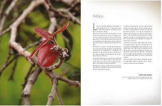 Prefácio
Lavar arroz, descascar batatas, escolher feijão, co-
zinhar espinafre e assar um frango fazem parte
do conhecimento adquirido na prática do dia a
dia na profissão de cozinheiro.
Rechear luas cheias de farinha de macaúba com carne
de cateto, assar biscoitos de araruta com geleia de pe-
qui, fritar croquetes de geriroba, enrolar na mão briga-
deiros de murici, servir suco de araçá são novos sabores
nas propostas que você encontrará na composição deste
livro para enriquecer e alimentar seu conhecimento culi-
nário.
Rita Medeiros, sorveteira, é reconhecida nacionalmente
nos meios da gastronomia brasileira e das embaixadas
europeias pelo seu vanguardismo na valorização e na
divulgação dos ingredientes oriundos do bioma do Cer-
rado, leque de sabores e aromas presentes nos seus sor-
vetes artesanais em Brasília.
É uma oportunidade única para todos nós a disposição
da autora em compartilhar o acesso ao levantamento e
ao conhecimento do uso de novos ingredientes desven-
dados, ressuscitados ou descobertos por ela.
Pesquisadora na matéria, mãe de família, ela apresenta
nesta obra uma variedade de receitas de pratos caseiros
servidos nas refeições domésticas.
A tendência contemporânea, cada vez mais presente e
destacada na elaboração de receitas, é integrar, graças
ao reconhecimento gustativo e ao domínio do manuseio,
ingredientes regionais. O uso desses ingredientes na
culinária, além de assegurar o frescor na sua sazonali-
dade e o controle da sua origem orgânica ou silvestre,
confere as receitas um potencial aromático e um alto
valor nutricional ainda pouco explorado e divulgado no
Centro-Oeste e no Brasil.
O cozinheiro e sua equipe, sensibilizados pelo uso des-
sas matérias-primas no seu ofício, participarão assim do
movimento de sustentabilidade do seu entorno e da sua
região. Desse modo colaboram para a integração de pe-
quenos grupos de catadores/coletores e pequenos pro-
dutores ao mercado local, reconhecendo e valorizando
assim a relevância dessas atividades e, por consequên-
cia, a importância de preservar e manter o Cerrado ainda
existente.
Vamos experimentar as inovações gustativas dessa figu-
ra emblemática de Brasília e desfrutar do seu conheci-
mento para estimular nossa criatividade.
Quentin Geenen Saint Maur
Chef, critico, pesquisador, apaixonado pela diversidade dos ingredientes
brasileiros, é autor do livro e do blogspot Muito Prazer Brasil.
7
 