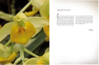 Agradecimentos
Écom muita ternura que agradeço à Fundação
Banco do Brasil (FBB) e ao Instituto Brasília para
o Bem-Estar do Servidor Público (IBESP) pela
oportunidade de publicar este livro de minhas experiên-
cias com as frutas nativas do Cerrado. Agradeço o en-
volvimento de muitas pessoas que diretamente atuaram
para tornar este sonho possível, tais como Deusa Ribeiro,
Elenilde Duarte e Sheyla Grippe, do Instituto Universitas.
À dona Idalina e à Chiquita, e ao lindo quintal de Pirenó-
polis. Ao Luis Carraza, da Central do Cerrado. Ao Fábio,
da Galeria Almeida Prado. Ao Simon Lau, que nos aden-
trou por seu maravilhoso pomar. À minha inestimável Ani-
ta, filha querida, sem ela não teria conseguido escrever
este livro. Ao Bartô e aos meus filhos Pedro e Rafa, que
sempre me apoiaram e tiveram a paciência de degustar
todas as receitas. À minha mãe Helena, por tudo o que
sou e a quem dedico este livro.
Rita Medeiros
Autora
9
 