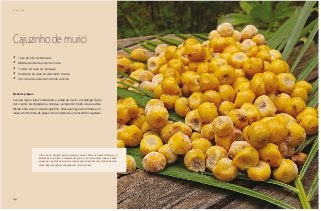 136
Chá da tarde
Cajuzinho de murici
•	 1 lata de leite condensado
•	 Metade de lata de polpa de murici
•	 1 colher de sopa de manteiga
•	 3 colheres de sopa de amendoim inteiros
•	 1/2 xícara de amendoim torrado e moído
Modo de preparo
Leve ao fogo o leite condensado, a polpa de murici, a manteiga. Deixe
dar o ponto de brigadeiro e coloque o amendoim moído. Deixe esfriar.
Molde o doce em forma de cajuzinho. Passe pelo açúcar refinado e co-
loque em forminhas de papel com a metade de um amendoim espetado.
Não é só no Cerrado que se aprecia o murici. Entre os índios Timbiras, no
Maranhão e no Piauí, a cambica de murici é um prato típico. Faz-se assim:
amassa-se a polpa do murici com água para misturá-la com farinha de man-
dioca. Depois pode ser adoçada com mel ou açúcar.
 