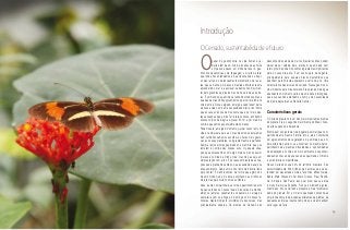 O Cerrado, sustentabilidade e futuro
Introdução
Opapel da gastronomia na vida humana vai
muito além de um livro de receitas que ensina
um passo a passo, um modo de fazer. A gas-
tronomia desenvolveu uma linguagem, um jeito de falar
que todos nós entendemos e que transcende o univer-
so das letras, do balanceamento matemático de recei-
tas, que se define por pesos e medidas. Muito antes de
aprendermos a ler e a escrever, sabemos nos movimen-
tar pelo grandioso e diverso mundo dos aromas e sabo-
res. É um mundo que abrimos e fechamos todos os dias e
que desde criancinhas aprendemos a percorrer, ainda no
colo da mãe. Doce, salgado, amargo, azedo fazem parte
da nossa vida como uma necessidade diária, tão íntima
que às vezes não nos damos conta que é por meio des-
tas sensações que a mãe Terra fala conosco, enchendo
nossos corpos de alegria e prazer. Enfim, é por meio da
comida que somos essencialmente humanos.
Podemos até, em algum momento, perder nosso rumo na
vida e cambalear aqui ou ali, mas mesmo que estejamos
bem velhinhos sabemos escolher as frutas mais gosto-
sas, as nossas prediletas, os ingredientes mais perfeitos.
Sempre temos aromas guardados na memória que nos
remetem à comida das nossas avós. Ou àquela situa-
ção que expressamos como algo mais ou menos assim:
“parece a comida da minha mãe”, mesmo que seja um
simples feijão com arroz. É por esse ambiente de sensa-
ções que aprendemos então o que é saudade, desejo ou
arrependimento. Cada um de nós tem uma história linda
para contar! É muito instintivo, de forma que agimos do
mesmo modo que um sabiá, escolhendo as minhocas
mais tenras para dividir com seus filhotes.
Aliás, é este compartilhar que torna a gastronomia palco
de quase todos os nossos rituais. São cafés da manhã,
almoços, jantares, casamentos, coquetéis, a cerveja da
sexta-feira com os amigos, o domingo com nossos fa-
miliares. Neste momento, dividimos muitas coisas, mas
principalmente sabores. Os aromas do Cerrado são
desconhecidos ainda de muitos brasileiros. Mas podem
deixar de ser. Jatobá, baru, araticum, quem sabe, num
futuro próximo podem constituir ingredientes importantes
para o nosso dia-a-dia. É um sonho para muita gente,
principalmente para aqueles bravos destemidos que
adentram pela floresta esperando a safra do ano. Uma
característica das árvores do cerrado. Elas seguem os ci-
clos impostos pela mãe natureza. Elas precisam de água
abundante no momento certo e de uma seca prolongada,
que às vezes não entendemos, como uma necessidade
do bioma deste imenso Planalto Central.
Características gerais
O Cerrado brasileiro é um dos mais importantes biomas
do planeta. Ele é o segundo maior bioma do Brasil, fican-
do atrás apenas da Amazônia.
Bioma é um conjunto de vida (vegetal e animal) que com-
partilha de uma mesma história, isto é, ele é constituído
por agrupamentos de vegetação e de animais que, em-
bora diferentes entre si, se encontram no mesmo barco,
partilhando das mesmas dificuldades e oportunidades
de adaptação ao clima e ao meio ambiente, às sazonali-
dades das chuvas, das secas e das queimadas: O bioma
é uma história compartilhada.
Nosso Cerrado ocupa 24% do território brasileiro. São
aproximadamente 200 milhões de hectares que se es-
tendem por dez estados: Goiás, Tocantins, Minas Gerais,
Bahia, Mato Grosso do Sul, Mato Grosso, Piauí, Rondô-
nia, Amapá e São Paulo. Isso quer dizer que sua área
é muito maior que Espanha, França e Alemanha juntas.
Além disso, nosso Cerrado apresenta a maior biodiversi-
dade do planeta. Em um metro quadrado concentra-se
um grande número de espécies diferentes de plantas, de
pequenos animais e insetos como não se vê em nenhum
outro lugar da Terra.
13
 