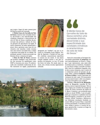 RECEITASESABORESDOSTERRITÓRIOSRURAIS  •  15
Antes de construídas as barragens ha-
via grande quantidade de lampreias nos
rios, particularmente no Douro e Tâme-
ga, o que representava uma mais-valia
económica para os residentes. Atualmen-
te, em Entre-os-Rios (concelho de Pena-
fiel), local de confluência daqueles rios,
já não se pesca lampreia, mas o modo de
a confecionar passou de geração em ge-
ração. Hoje, a famosa Lampreia à Moda
de Entre‑os‑Rios é muito apreciada por
visitantes de todo o país. Os restaurantes
da zona mantiveram o saber nos prepara-
tivos que antecedem a sua confeção.
Também o Pão de Ló de Margaride,
típico de Margaride, concelho de Fel-
gueiras, merece especial destaque. Terá as
suas origens nas cozinhas dos monges da
ordem de Cluny, sucessora da ordem de
S. Bento. Começou a ser produzido para
venda no século XVIII, e com tal quali-
dade que conquistou os paladares da Casa
Real Portuguesa, tornando‑se um forne-
cimento oficial. Continua a fabricar‑se,
nas belíssimas instalações fundadas no
século XIX por Leonor Rosa e mantidas
até hoje pela família. A excelência do pro-
duto, aliada à técnica e à receita de ori-
gem, garantiu-lhe o sucesso ao longo de
dois séculos e meio.
que ocupa o lugar do mais comum peru
de Natal na mesa da Consoada.
O Melão Casca de Carvalho do Vale
do Sousa constitui uma variedade distin-
ta, decorrendo a sua especificidade das
condições climáticas e características do
solo do Vale do Sousa e também da pre-
servação das práticas e saberes de mui-
tas gerações de agricultores da região. É
muito sumarento, de sabor apimentado e
pouco doce, apresenta uma casca de cor
cinzenta com manchas verdes escuras,
tem uma textura reticulada fina a média
e apresenta uma polpa de cor salmão. De
produção sazonal, é muito procurado em
festejos, feiras e romarias da região.
A Broa do Vale do Sousa constitui
um produto endógeno com autenticida-
de cujo processo de qualificação como
DOP se encontra em curso. É confecio-
nada com variedades tradicionais de mi-
lho existentes na região, popularmente
designado por “milhão”, em que se in-
cluem as variedades locais Pigarro, Ver-
dial de Aperrela e Verdial de Cete, que
lhe conferem características específicas
na textura do seu miolo. A sua massa
contém também centeio e um tipo es-
pecífico de fermento, ou isco. É cozida
em forno de lenha. De modo mais co-
mum, tem a forma circular, ligeiramente
achatada.
O Melão Casca de
Carvalho do Vale do
Sousa constitui uma
variedade distinta,
decorrendo a sua
especificidade das
condições climáticas
e características
do solo do Vale
do Sousa.”
 