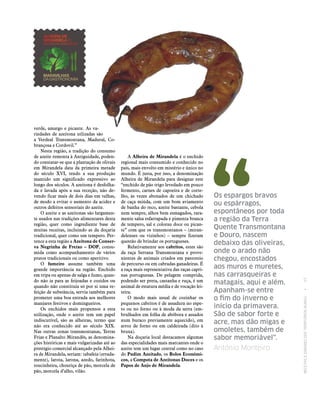 RECEITASESABORESDOSTERRITÓRIOSRURAIS  •  57
verde, amargo e picante. As va-
riedades de azeitona utlizadas são
a Verdeal Transmontana, Madural, Co-
brançosa e Cordovil.”
Nesta região, a tradição do consumo
de azeite remonta à Antiguidade, poden-
do constatar‑se que a plantação de olivais
em Mirandela data da primeira metade
do século XVI, tendo a sua produção
mantido um significado expressivo ao
longo dos séculos. A azeitona é desfolha-
da e lavada após a sua receção, não de-
vendo ficar mais de dois dias em tulhas,
de modo a evitar o aumento da acidez e
outros defeitos sensoriais do azeite.
O azeite e as azeitonas são largamen-
te usados nas tradições alimentares desta
região, quer como ingrediente base de
muitas receitas, incluindo as da doçaria
tradicional, quer como um tempero. Per-
tence a esta região a Azeitona de Conser‑
va Negrinha de Freixo – DOP, consu-
mida como acompanhamento de vários
pratos tradicionais ou como aperitivo.
O fumeiro assume também uma
grande importância na região. Enchido
em tripa ou apenas de salga e fumo, quan-
do não ia para as feijoadas e cozidos ou
quando não constituía só por si uma re-
feição de substância, servia também para
prometer uma boa entrada aos melhores
manjares festivos e domingueiros.
Os enchidos mais propensos a esta
utilização, onde o azeite tem um papel
indiscutível, são as alheiras, termo que
não era conhecido até ao século XIX.
Nas outras zonas transmontanas, Terras
Frias e Planalto Mirandês, as denomina-
ções históricas e mais vulgarizadas até ao
prestígio comercial alcançado pela Alhei-
ra de Mirandela, seriam: tabafeia (errada-
mente), larota, larona, azedo, farinhota,
toucinheira, chouriça de pão, morcela de
pão, morcela d’alho, vilão.
A Alheira de Mirandela é o enchido
regional mais consumido e conhecido no
país, mais envolto em mistério e único no
mundo. É justa, por isso, a denominação
Alheira de Mirandela para designar este
“enchido de pão trigo levedado em pouco
fermento, carnes de capoeira e de corte-
lho, às vezes abonados de um chichado
de caça miúda, com um bom aviamento
de banha do reco, azeite bastante, cebola
nem sempre, alhos bem esmagados, rara-
mente salsa esfarrapada e pimenta branca
de tempero, sal e colorau doce ou pican-
te” com que os transmontanos – (miran-
delenses ou vizinhos) – sempre fizeram
questão de brindar os portugueses.
Relativamente aos cabritos, estes são
da raça Serrana Transmontana e prove-
nientes de animais criados em pastoreio
de percurso ou em cabradas ganadeiras. É
a raça mais representativa das raças capri-
nas portuguesas. De pelagem comprida,
podendo ser preta, castanha e ruça, é um
animal de estatura média e de vocação lei-
teira.
O modo mais usual de cozinhar os
pequenos cabritos é de assadura no espe-
to ou no forno ou à moda da serra (em-
brulhados em folha de abóbora e assados
num buraco previamente aquecido), em
arroz de forno ou em caldeirada (dito à
bruxa).
Na doçaria local destacamos algumas
das especialidades mais marcantes onde o
azeite tem um lugar central como no caso
do Pudim Azeitado, os Bolos Económi‑
cos, a Compota de Azeitonas Doces e os
Papos de Anjo de Mirandela.
Os espargos bravos
ou espárragos,
espontâneos por toda
a região da Terra
Quente Transmontana
e Douro, nascem
debaixo das oliveiras,
onde o arado não
chegou, encostados
aos muros e muretes,
nas carrasqueiras e
matagais, aqui e além.
Apanham‑se entre
o fim do inverno e
início da primavera.
São de sabor forte e
acre, mas dão migas e
omoletes, também de
sabor memoriável”.
António Monteiro
 