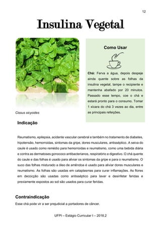 12
UFPI – Estágio Curricular I – 2018.2
Insulina Vegetal
Cissus sicyoides
Contraindicação
Esse chá pode vir a ser prejudicial a portadores de câncer.
Indicação
Reumatismo, epilepsia, acidente vascular cerebral e também no tratamento de diabetes,
hipotensão, hemorroidas, sintomas da gripe, dores musculares, antisséptico. A seiva do
caule é usado como remédio para hemorroidas e reumatismo, como uma bebida diária
e contra as dermatoses gonococo antibacterianos, respiratório e digestivo. O chá quente
do caule e das folhas é usado para aliviar os sintomas da gripe e para o reumatismo. O
suco das folhas misturado a óleo de amêndoa é usado para aliviar dores musculares e
reumatismo. As folhas são usadas em cataplasmas para curar inflamações. As flores
em decocção são usadas como antisséptico para lavar e desinfetar feridas e
previamente expostos ao sol são usados para curar feridas.
Como Usar
Chá: Ferva a água, depois despeje
ainda quente sobre as folhas da
insulina vegetal, tampe o recipiente e
mantenha abafado por 20 minutos.
Passado esse tempo, coe o chá e
estará pronto para o consumo. Tomar
1 xícara do chá 3 vezes ao dia, entre
as principais refeições.
 