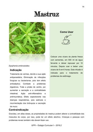 14
UFPI – Estágio Curricular I – 2018.2
Mastruz
Dysphania ambrosioides
Contraindicação
Gravidez, em altas doses, as propriedades do mastruz podem alterar a contratilidade dos
músculos do corpo, por isso, pode ter um efeito abortivo. Crianças e pessoas com
problemas renais também não devem fazer uso.
Indicação
Tratamento de vermes, devido a sua ação
antiparasitária; Eliminação de infecções
fúngicas ou bacterianas, pois tem efeito
antisséptico; Combate a problemas
digestivos. Trata a prisão de ventre, por
aumentar a secreção e a contratilidade
intestinal; Ação anti-inflamatória e
antirreumática; Efeito expectorante nas
doenças respiratórias, pois estimula o
movimentação dos brônquios e secreção
de muco.
Como Usar
Colocar uma xícara da planta fresca
com sementes, em 500 ml de água
fervente e deixar repousar por 10
minutos. Depois coar e beber uma
xícara de 6 em 6 horas. Esta infusão é
indicada para o tratamento de
problemas de estômago.
 