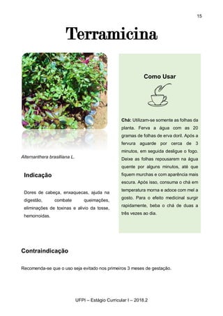 15
UFPI – Estágio Curricular I – 2018.2
Terramicina
Alternanthera brasilliana L.
Contraindicação
Recomenda-se que o uso seja evitado nos primeiros 3 meses de gestação.
Indicação
Dores de cabeça, enxaquecas, ajuda na
digestão, combate queimações,
eliminações de toxinas e alivio da tosse,
hemorroidas.
Como Usar
Chá: Utilizam-se somente as folhas da
planta. Ferva a água com as 20
gramas de folhas de erva doril. Após a
fervura aguarde por cerca de 3
minutos, em seguida desligue o fogo.
Deixe as folhas repousarem na água
quente por alguns minutos, até que
fiquem murchas e com aparência mais
escura. Após isso, consuma o chá em
temperatura morna e adoce com mel a
gosto. Para o efeito medicinal surgir
rapidamente, beba o chá de duas a
três vezes ao dia.
 