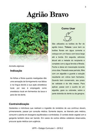 3
UFPI – Estágio Curricular I – 2018.2
Agrião Bravo
Acmella uliginosa
Contraindicação
Gestantes e indivíduos que realizam a ingestão de remédios de uso contínuo devem,
primeiramente, passar por consulta médica. Somente depois, se liberado pelo médico,
consumir a planta em dosagens equilibradas e controladas. O contato deste vegetal com a
garganta também deve ser banido. Em casos de outros efeitos colaterais observados,
procurar ajuda médica com urgência.
Indicação
As folhas e flores quando mastigadas dão
uma sensação de formigamento nos lábios
e na língua devido a sua ação anestésica
local, por isso é empregado como
anestésico local em ferimentos da boca e
para dor de dente.
Como Usar
São utilizados os botões de flor do
agrião bravo. Tintura: Lave bem os
botões florais em água corrente e
coloque em um frasco com boca larga
até a borda. Em seguida, adicione
álcool até a metade do recipiente e
complete com a água fervida e filtrada.
Feche e deixe em maceração durante
cinco dias. Passado esse período, filtre
com um algodão e guarde a solução
resultante em vidros bem fechados.
Quando bem conservado, seu prazo
de validade é de três meses. Para
aplicar, passe com o auxílio de um
algodão, gaze ou cotonete, sobre a
parte dolorida do dente ou da gengiva.
 