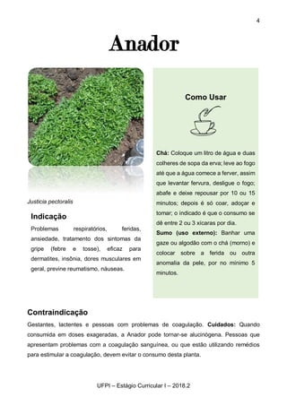 4
UFPI – Estágio Curricular I – 2018.2
Anador
Justicia pectoralis
Contraindicação
Gestantes, lactentes e pessoas com problemas de coagulação. Cuidados: Quando
consumida em doses exageradas, a Anador pode tornar-se alucinógena. Pessoas que
apresentam problemas com a coagulação sanguínea, ou que estão utilizando remédios
para estimular a coagulação, devem evitar o consumo desta planta.
Indicação
Problemas respiratórios, feridas,
ansiedade, tratamento dos sintomas da
gripe (febre e tosse), eficaz para
dermatites, insônia, dores musculares em
geral, previne reumatismo, náuseas.
Como Usar
Chá: Coloque um litro de água e duas
colheres de sopa da erva; leve ao fogo
até que a água comece a ferver, assim
que levantar fervura, desligue o fogo;
abafe e deixe repousar por 10 ou 15
minutos; depois é só coar, adoçar e
tomar; o indicado é que o consumo se
dê entre 2 ou 3 xícaras por dia.
Sumo (uso externo): Banhar uma
gaze ou algodão com o chá (morno) e
colocar sobre a ferida ou outra
anomalia da pele, por no mínimo 5
minutos.
 