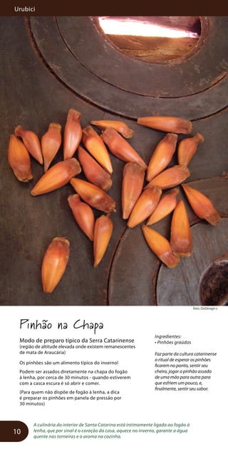 Urubici
10
foto: DoDesign-s
Pinhão na Chapa
Modo de preparo típico da Serra Catarinense
(região de altitude elevada onde existem remanescentes
de mata de Araucária)
Os pinhões são um alimento típico do inverno!
Podem ser assados diretamente na chapa do fogão
à lenha, por cerca de 30 minutos - quando estiverem
com a casca escura é só abrir e comer.
(Para quem não dispõe de fogão à lenha, a dica
é preparar os pinhões em panela de pressão por
30 minutos)
A culinária do interior de Santa Catarina está intimamente ligada ao fogão à
lenha, que por sinal é o coração da casa, aquece no inverno, garante a água
quente nas torneiras e o aroma na cozinha.
Ingredientes:
• Pinhões graúdos
Faz parte da cultura catarinense
o ritual de esperar os pinhões
ficarem no ponto, sentir seu
cheiro, jogar o pinhão assado
de uma mão para outra para
que esfriem um pouco, e,
finalmente, sentir seu sabor.
 