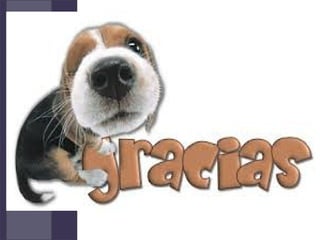 Florence Nightingale: Notas de Enfermeria, Capitulo III, IV, V