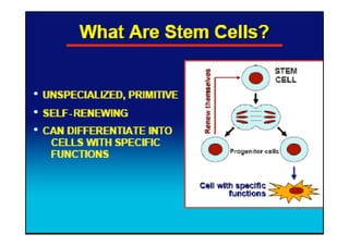 Recent Advances in the Clinical Applications of Stem Cells | PDF