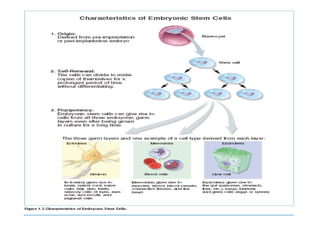 Recent Advances in the Clinical Applications of Stem Cells | PDF