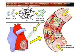 Recent Advances in the Clinical Applications of Stem Cells | PDF