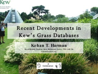 Recent Developments in Kew’s Grass Databases Kehan T. Harman Royal Botanic Gardens, Kew, Richmond, Surrey, TW9 3AB, UK [email_address] A Celebration  of Grasses 
