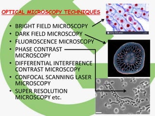 OPTICAL MICROSCOPY TECHNIQUES
• BRIGHT FIELD MICROSCOPY
• DARK FIELD MICROSCOPY
• FLUOROSCENCE MICROSCOPY
• PHASE CONTRAST
MICROSCOPY
• DIFFERENTIAL INTERFERENCE
CONTRAST MICROSCOPY
• CONFOCAL SCANNING LASER
MICROSCOPY
• SUPER RESOLUTION
MICROSCOPY etc.
 