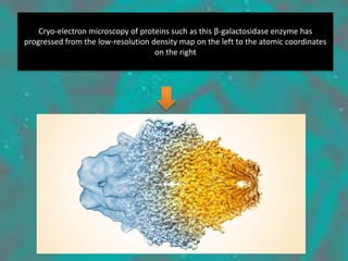 Cryo-electron microscopy of proteins such as this β-galactosidase enzyme has
progressed from the low-resolution density map on the left to the atomic coordinates
on the right
 