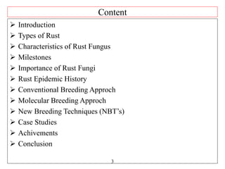 Rust Characteristics Recent advancement in rust resistence in wheat,dayanand, 01986 | PPTX