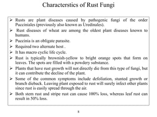 Rust Parasites Recent advancement in rust resistence in wheat,dayanand, 01986 | PPTX