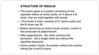 STRUCTURE OF INSULIN
 The insulin gene is a protein consisting of two
separate chains of amino acids, an A above a B
chain, that are held together with bonds.
 The insulin A chain consists of 21 amino acids and
the B chain has 30.
 Before becoming an active insulin protein, insulin is
first produced as preproinsulin .
 After preproinsulin , the chain evolves into
proinsulin , still a single chain but without the
signaling sequence.
 Active protein insulin, the protein without the section
linking the A and B chains.
 
