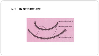 INSULIN STRUCTURE
 