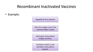 Recombinant Inactivated Vaccines
• Example:
Hepatitis B Virus Vaccine
Gene for antigen insert into
common baker’s yeast
Yeast grew and produce
antigen proteins.
Scientists collect it and
purified it and used as
vaccine.
 