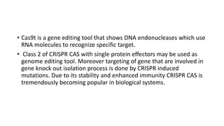 • Cas9t is a gene editing tool that shows DNA endonucleases which use
RNA molecules to recognize specific target.
• Class 2 of CRISPR CAS with single protein effectors may be used as
genome editing tool. Moreover targeting of gene that are involved in
gene knock out isolation process is done by CRISPR induced
mutations. Due to its stability and enhanced immunity CRISPR CAS is
tremendously becoming popular in biological systems.
 