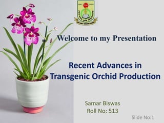 Welcome to my Presentation
Recent Advances in
Transgenic Orchid Production
Samar Biswas
Roll No: 513
Slide No:1
 