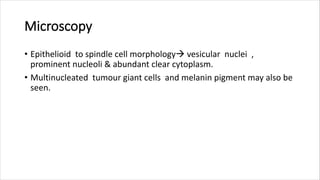Microscopy
• Epithelioid to spindle cell morphology vesicular nuclei ,
prominent nucleoli & abundant clear cytoplasm.
• Multinucleated tumour giant cells and melanin pigment may also be
seen.
 