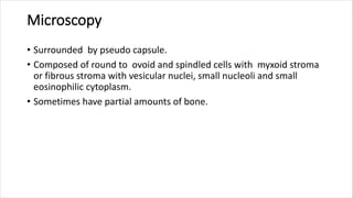 Microscopy
• Surrounded by pseudo capsule.
• Composed of round to ovoid and spindled cells with myxoid stroma
or fibrous stroma with vesicular nuclei, small nucleoli and small
eosinophilic cytoplasm.
• Sometimes have partial amounts of bone.
 
