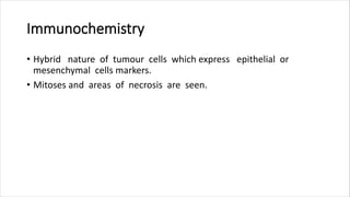 Immunochemistry
• Hybrid nature of tumour cells which express epithelial or
mesenchymal cells markers.
• Mitoses and areas of necrosis are seen.
 