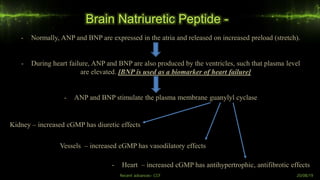 - Normally, ANP and BNP are expressed in the atria and released on increased preload (stretch).
- During heart failure, ANP and BNP are also produced by the ventricles, such that plasma level
are elevated. [BNP is used as a biomarker of heart failure]
- ANP and BNP stimulate the plasma membrane guanylyl cyclase
Brain Natriuretic Peptide -
Kidney – increased cGMP has diuretic effects
Vessels – increased cGMP has vasodilatory effects
- Heart – increased cGMP has antihypertrophic, antifibrotic effects
Recent advances- CCF 20/08/19
 