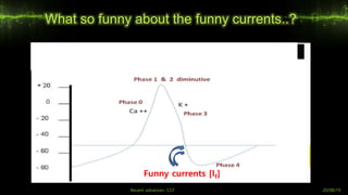 What so funny about the funny currents..?
Funny currents [If]
Recent advances- CCF 20/08/19
 