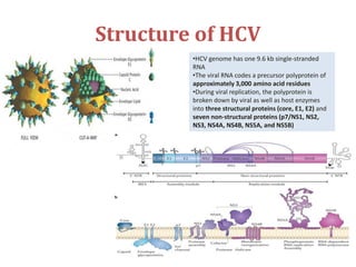 Advances in Management of Hepatitis C | PPTX