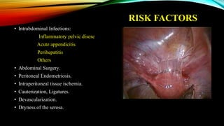 RISK FACTORS
• Intrabdominal Infections:
Inflammatory pelvic disese
Acute appendicitis
Perihepatitis
Others
• Abdominal Surgery.
• Peritoneal Endometriosis.
• Intraperitoneal tissue ischemia.
• Cauterization, Ligatures.
• Devascularization.
• Dryness of the serosa.
 