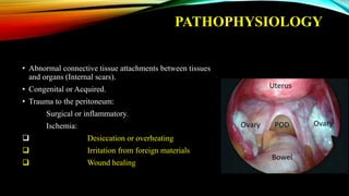 PATHOPHYSIOLOGY
• Abnormal connective tissue attachments between tissues
and organs (Internal scars).
• Congenital or Acquired.
• Trauma to the peritoneum:
Surgical or inflammatory.
Ischemia:
 Desiccation or overheating
 Irritation from foreign materials
 Wound healing
 