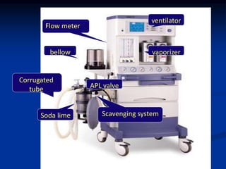 vaporizer
bellow
Corrugated
tube
Soda lime
Flow meter
ventilator
APL valve
Scavenging system
 
