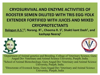 CRYOSURVIVAL AND ENZYME ACTIVITIES OF
ROOSTER SEMEN DILUTED WITH TRIS EGG-YOLK
EXTENDER FORTIFIED WITH JUICES AND MIXED
CRYOPROTECTANTS
Balogun A.S.1,3, Narang. R1., Cheema R. S2, Shakti kant Dash1, and
kashyap Neeraj1
1Department of Animal genetics and Breeding, College of Veterinary Science, Guru
Angad Dev Veterinary and Animal Science University, Punjab, India.
2School of Animal Biotechnology, Guru Angad Dev Veterinary and Animal Science
University, Punjab, India.
3Directorate of livestock farms, Guru Angad Dev Veterinary and Animal Science
University, Punjab, India
 