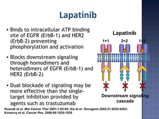 Lapatinib
• Binds to intracellular ATP binding
site of EGFR (ErbB-1) and HER2
(ErbB-2) preventing
phosphorylation and activation
• Blocks downstream signaling
through homodimers and
heterodimers of EGFR (ErbB-1) and
HER2 (ErbB-2)
• Dual blockade of signaling may be
more effective than the single-
target inhibition provided by
agents such as trastuzumab
1+1 2+2 1+2
Lapatinib
Downstream signaling
cascade
Rusnak et al. Mol Cancer Ther 2001;1:85-94; Xia et al. Oncogene 2002;21:6255-6263;
Konecny et al. Cancer Res. 2006;66:1630-1639
 