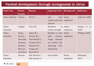 Recent advances in citrus breeding | PPTX
