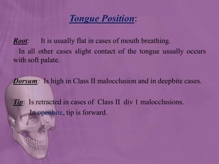 Tongue Position:
Root: It is usually flat in cases of mouth breathing.
In all other cases slight contact of the tongue usually occurs
with soft palate.
Dorsum: Is high in Class II malocclusion and in deepbite cases.
Tip: Is retracted in cases of Class II div 1 malocclusions.
In openbite, tip is forward.
 
