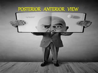 36
POSTERIOR ANTERIOR VIEW
 
