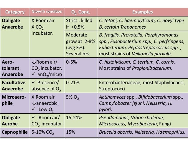Recent Advances In Cultivation Amp Identification Of Anaerobic