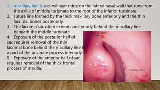 1. maxillary line is a curvilinear ridge on the lateral nasal wall that runs from
the axilla of middle turbinate to the root of the inferior turbinate.
2. suture line formed by the thick maxillary bone anteriorly and the thin
lacrimal bones posteriorly.
3. The lacrimal sac often extends posteriorly behind the maxillary line
beneath the middle turbinate.
4. Exposure of the posterior half of
sac requires removal of the thin
lacrimal bone behind the maxillary line &
a part of the uncinate process inferiorly.
5. Exposure of the anterior half of sac
requires removal of the thick frontal
process of maxilla.
 