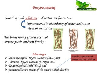 Enzyme scouring
Scouring with cellulases and pectinases for cotton.
improvements in absorbency of water and water
retention on cotton.
The bio-scouring process does not
remove pectin rather it breaks.
Advantages
 lower Biological Oxygen Demand (BOD) and
 Chemical Oxygen Demand (COD) is low,
 Total Dissolved Solid (TDS), and
 positive effect on extent of the cotton weight loss b/c
specific to pectin and
waxes and not cellulose
 