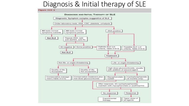 Recent advances in diagnosis & management of SLE