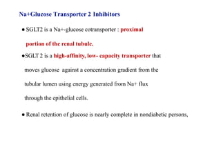● SGLT2 is a Na+-glucose cotransporter : proximal
portion of the renal tubule.
●SGLT 2 is a high-affinity, low- capacity transporter that
moves glucose against a concentration gradient from the
tubular lumen using energy generated from Na+ flux
through the epithelial cells.
● Renal retention of glucose is nearly complete in nondiabetic persons,
Na+Glucose Transporter 2 Inhibitors
 