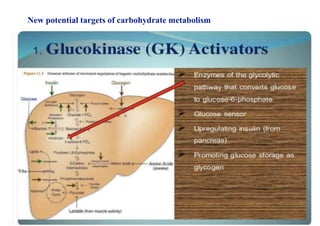 New potential targets of carbohydrate metabolism
 