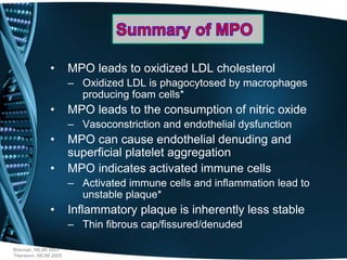 • MPO leads to oxidized LDL cholesterol
– Oxidized LDL is phagocytosed by macrophages
producing foam cells*
• MPO leads to the consumption of nitric oxide
– Vasoconstriction and endothelial dysfunction
• MPO can cause endothelial denuding and
superficial platelet aggregation
• MPO indicates activated immune cells
– Activated immune cells and inflammation lead to
unstable plaque*
• Inflammatory plaque is inherently less stable
– Thin fibrous cap/fissured/denuded
Brennan, NEJM 2003
*Hansson, NEJM 2005
 