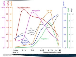 Stefan Blankenberg, MD; Renate Schnabel, MD; Edith Lubos, MD, et al., Myeloperoxidase Early Indicator of Acute Coronary Syndrome and
Predictor of Future Cardiovascular Events 2005
 
